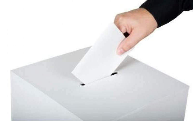 Elezioni consiglio disituto2