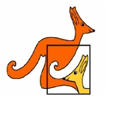 kangourou2